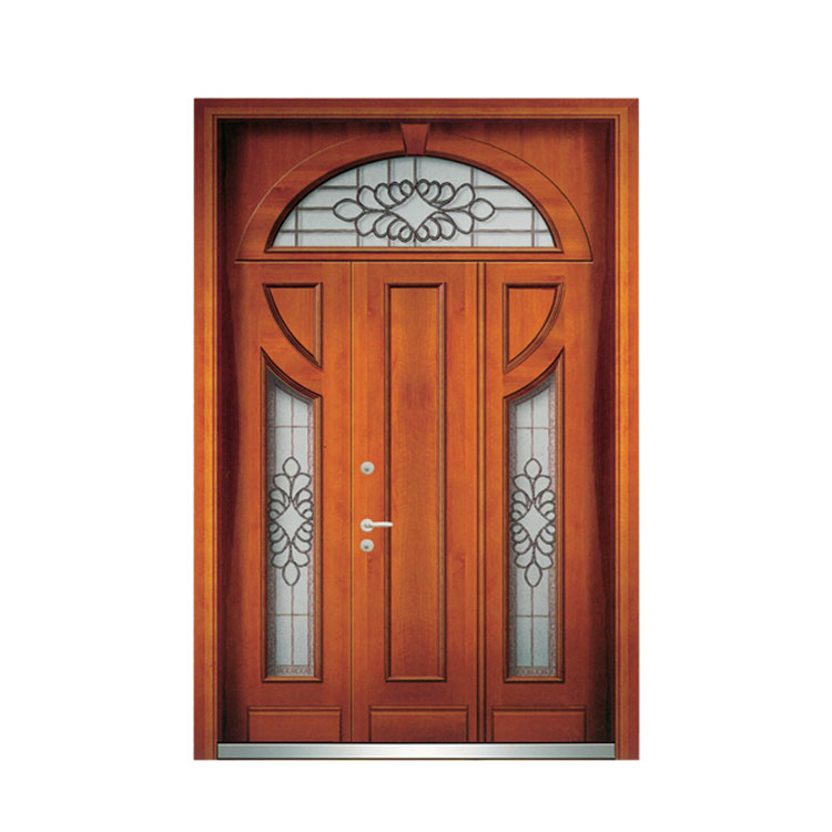 Normal Steel Door Entrance Door